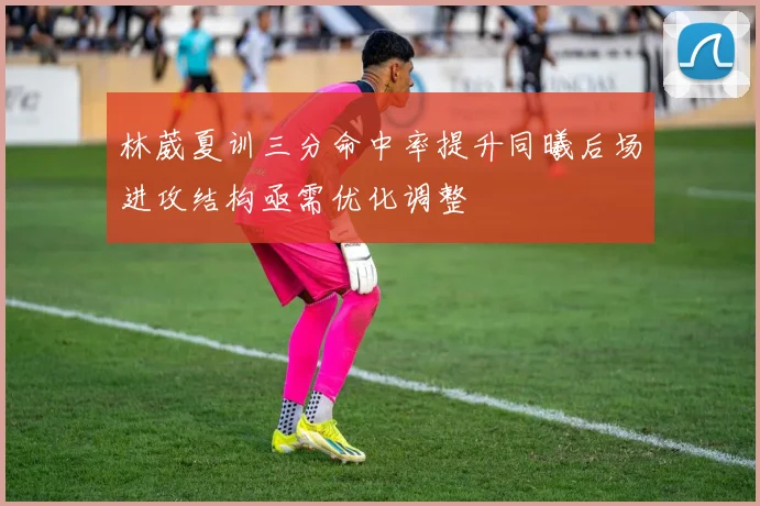 林葳夏训三分命中率提升同曦后场进攻结构亟需优化调整